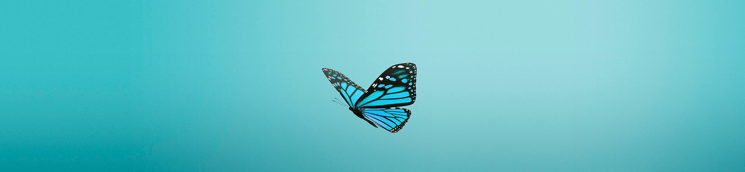 our company omicron 3